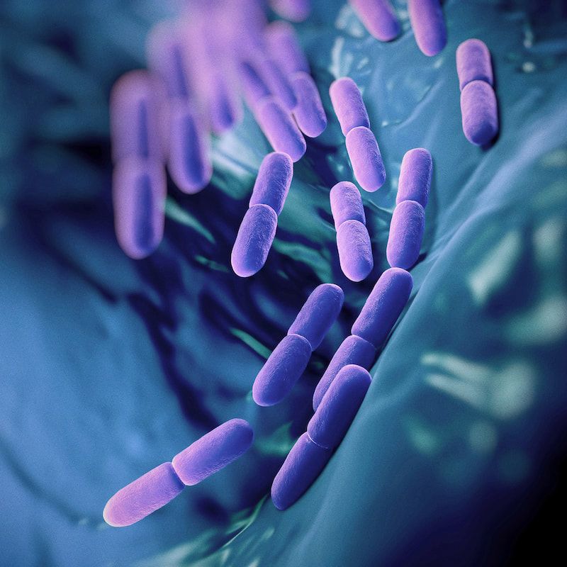 Biofilm and Pathogen Mitigation study