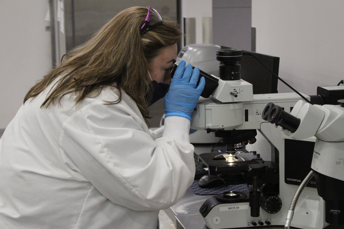 Log10 pioneering science and innovation in food safety
