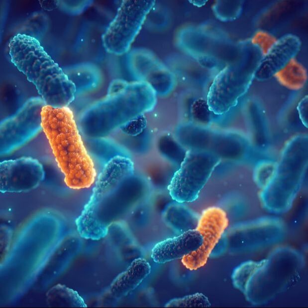 Probiotic Properties study